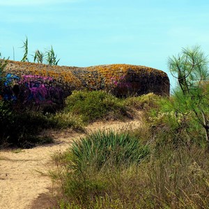 Bunker au bout d'un sentier de sable entouré de bosquets de plantes - France  - collection de photos clin d'oeil, catégorie paysages